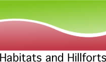 hh logo