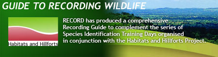 Recording guide