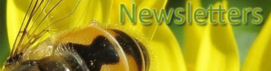 Newsletters