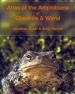 AmphibiansAtlas