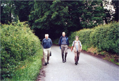 Hedge along a country road