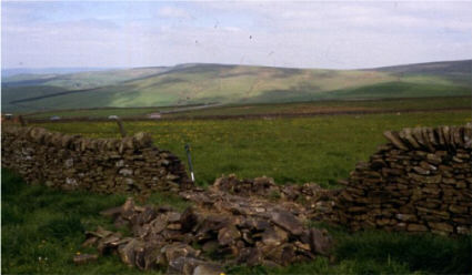 Dry Stone Wall