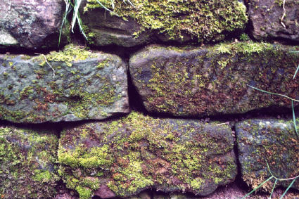 Close up of dry stone wall