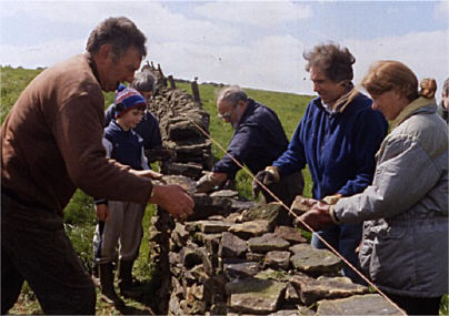 Dry Stone Walling Workshop