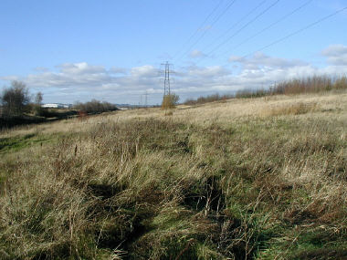 Hale Road