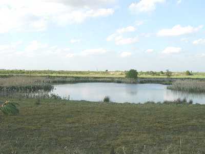 Oxmoor