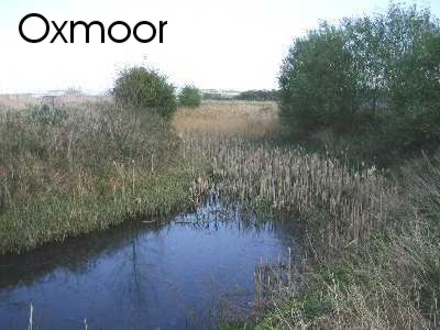 Oxmoor