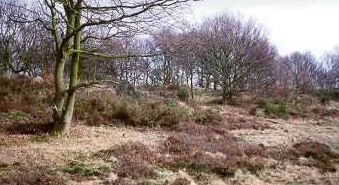 Knutsford Heath