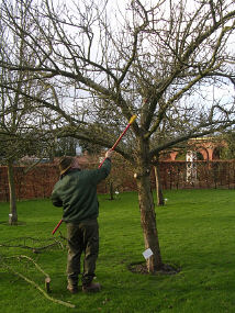 Hedge pruning workshop