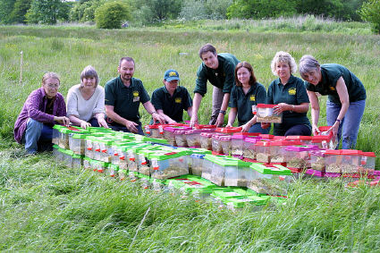 Harvest mouse release
