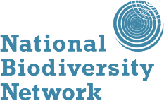 NBN logo