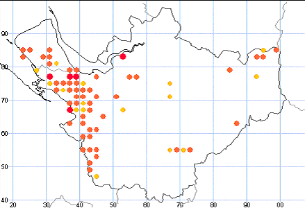Map showing distribution of white-letter hairstreak