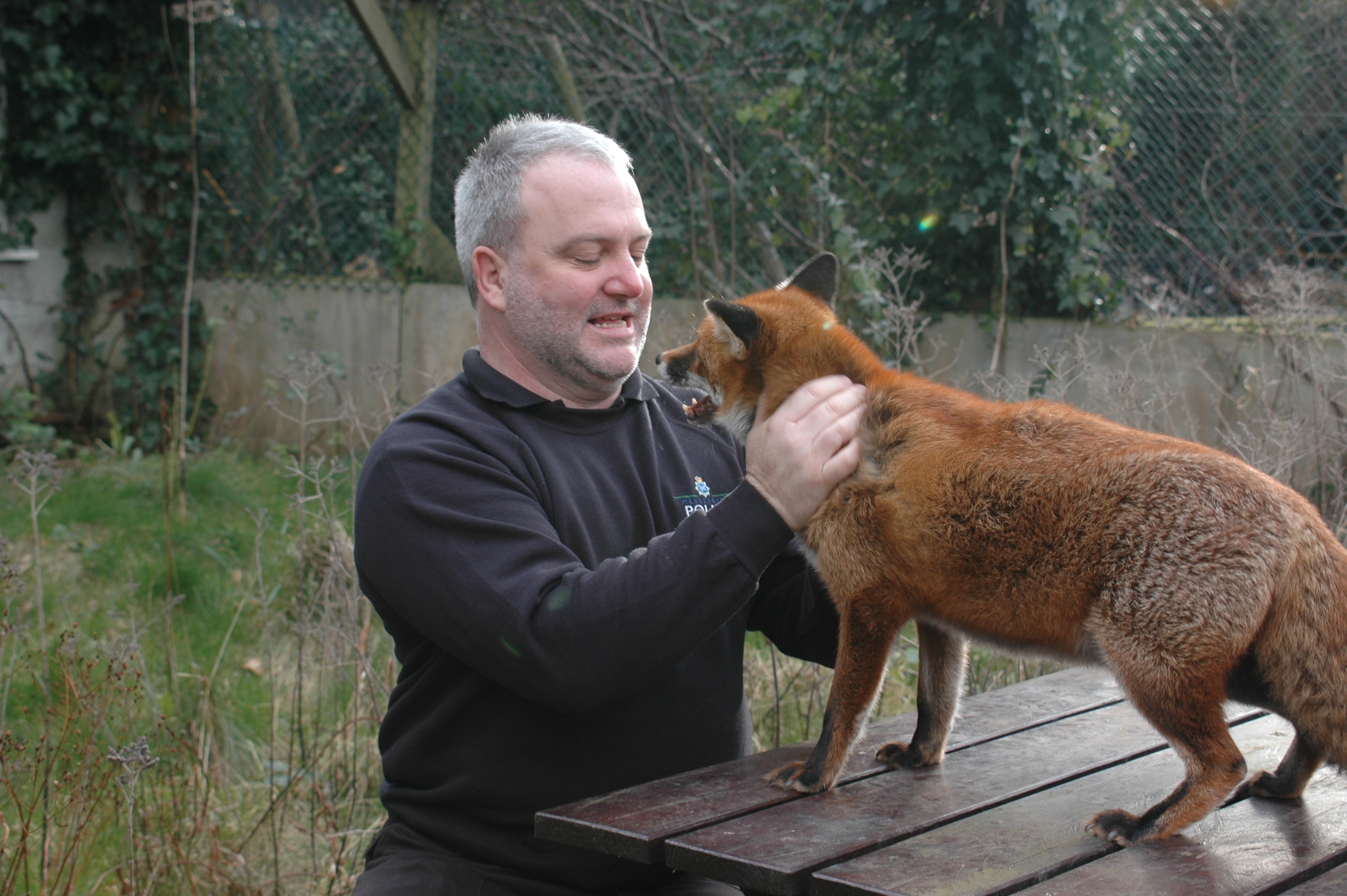 Steve Harris with a fox