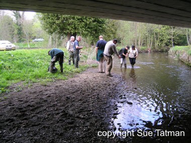 Volunteers on a survey training day, surveying under a bridge