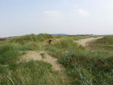 Sand dunes at Red Rocks