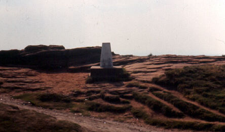 Thurstaston Common