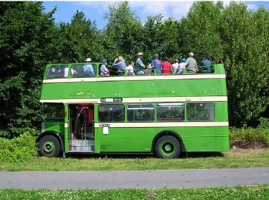 White-letter Hairstreak viewing from a parked open top double-decker bus at Wigg Island as part of the Wildspace Project